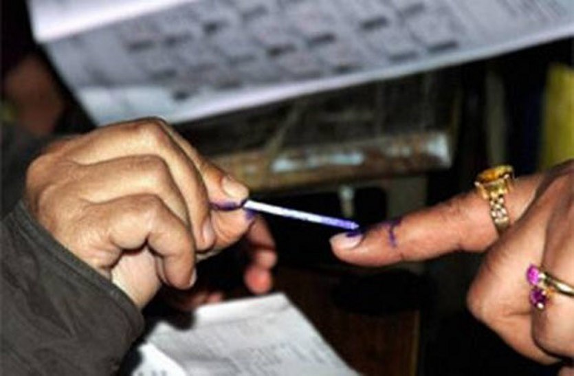 local body election in rajasthan