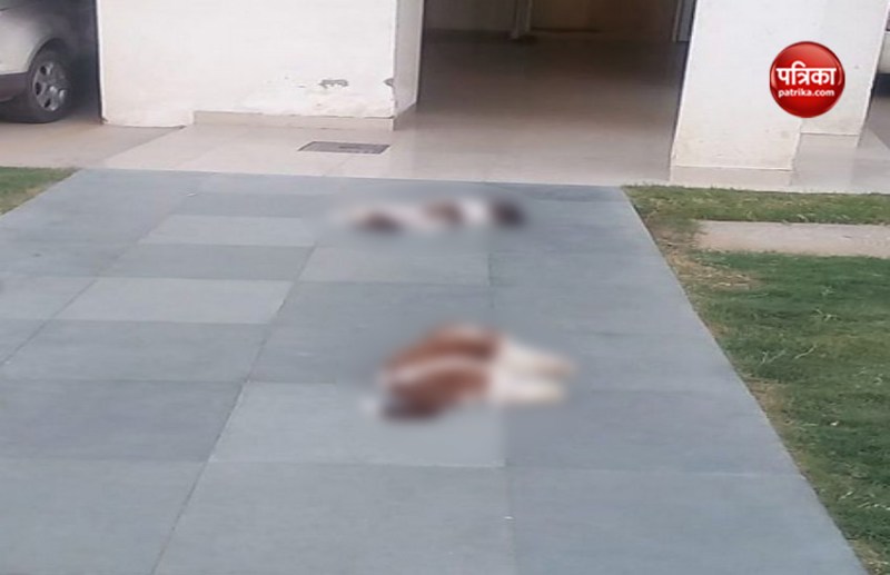 आस-पास रहने वाली महिलाओं ने भी गुड़गांव के इस आवासीय परिसर की 8 वीं मंजिल से पिल्लों को गिरते हुए देखा था और ये पिल्ले गिरते ही तुरंत मर गए। इस पूरे घटनाक्रम को देख रही महिलाओं ने तुरंत सुरक्षा कर्मियों को मामले की जानकारी दी और बाद में सुरक्षाकर्मियों ने पशु कल्याण एनजीओ के लोगों को सूचित कर बताया। मामले पर पुलिस अधिकारियों का कहना था कि वे अपार्टमेंट में लगे सीसीटीवी कैमरों की मदद से फुटेज को स्कैन कर मामले की जांच में जुटे हुए हैं ताकि पता लग सके कि असल में पूरी घटना में हुआ क्या था। जानकारी के मुताबिक अभी तक आरोपी डॉक्टर के ऊपर कोई मामला दर्ज नहीं हुआ है। वहीं आरोपी डाक्टर ने अपने ऊपर लगे आरोपों से इंकार कर दिया है। डाक्टर का कहना है कि डॉगी के पिल्ले फ्लैट की बालकनी में मौजूद थे लेकिन वे नहीं जानते कि उनके साथ क्या हुआ है।