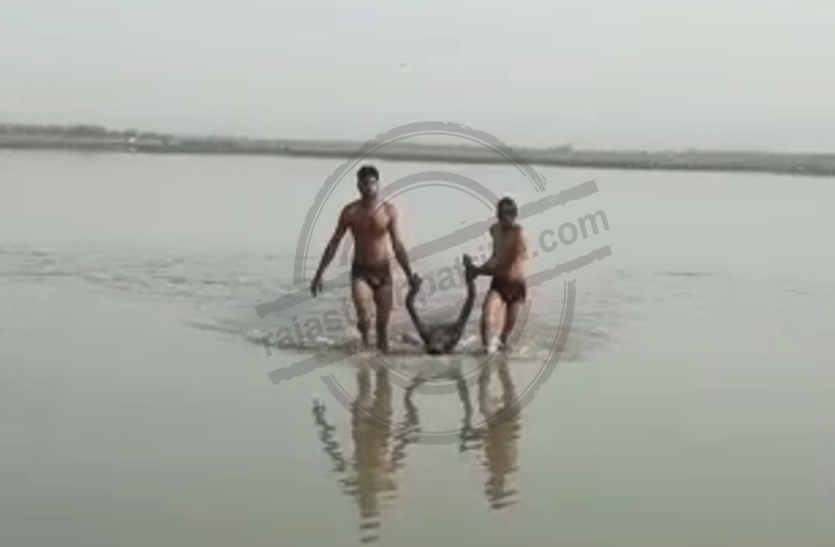 see how people surfing on dal jheel