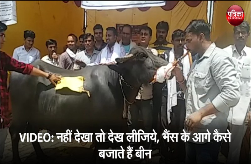 protested against the administration