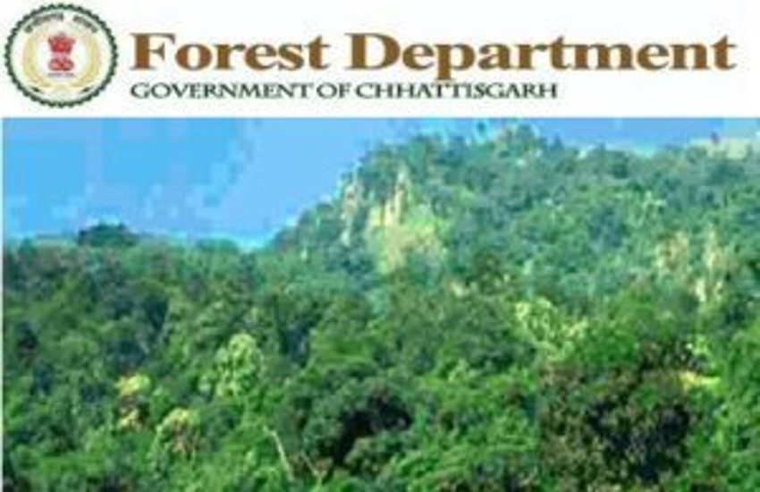 chhattisgarh forest department