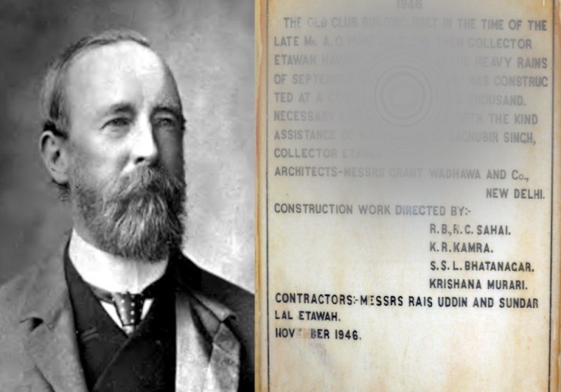 english collector AO Hume