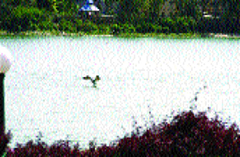 Villivakam lake is watery