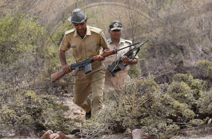 Dacoit Jagan Gurjar की तलाश में पुलिस की आधादर्जन टीमें, सरमथुरा के जंगलों में होने की सूचना, महिला को बंदूक के बटों से पीट फैलाई थी दहशत