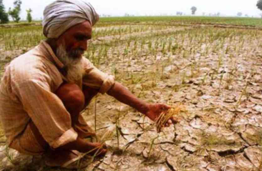 kisan nidhi yijna progess report