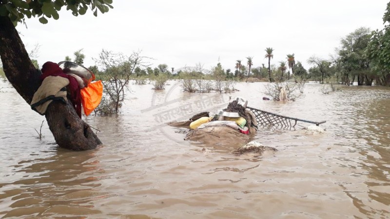Heavy Rain In Rajasthan 