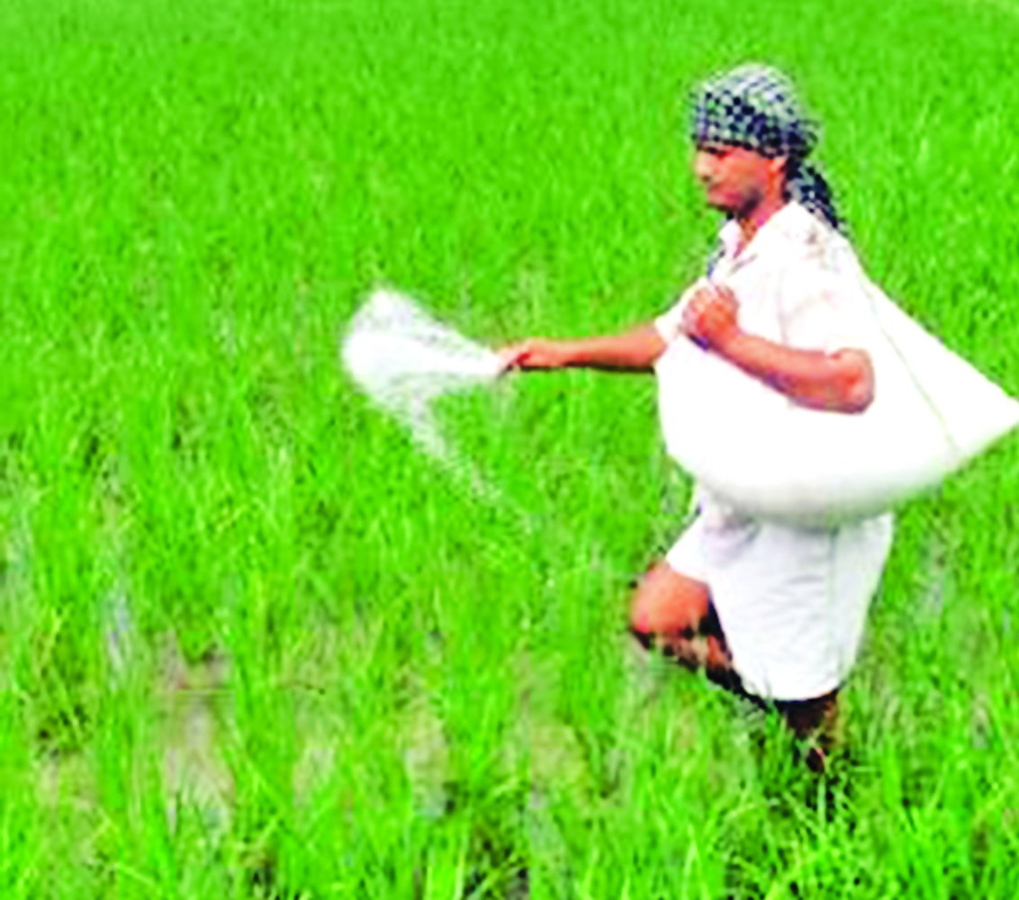 Farmers of the district should make the rice transplantation