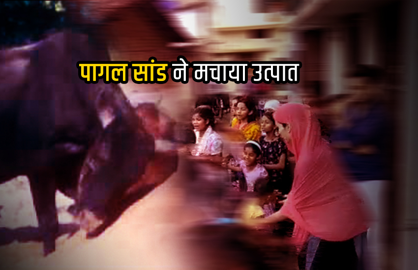 कुत्ते के काटने से पागल सांड ने मचाया कोहराम, देखिए वीडियो