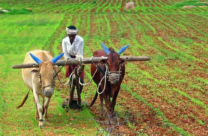 Rajasthan farmers 