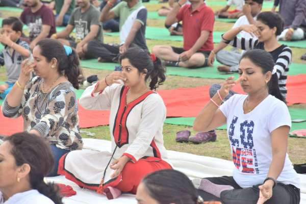 The graphical tableau of the Yoga Day celebrations