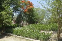 Id proof must for plant purchase