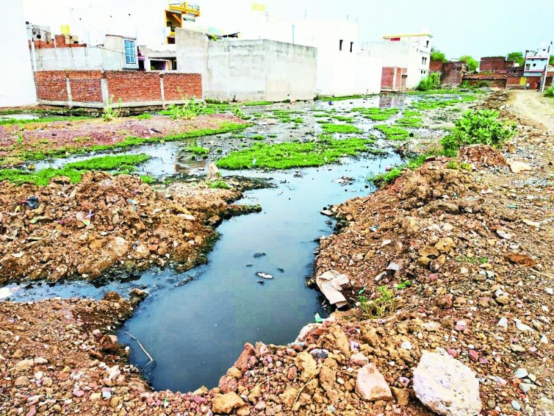 Story of Satna nagar nigam Ward number-1 amoudha Ward