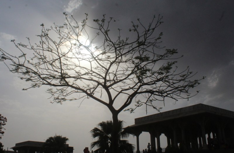 monsoon in rajasthan