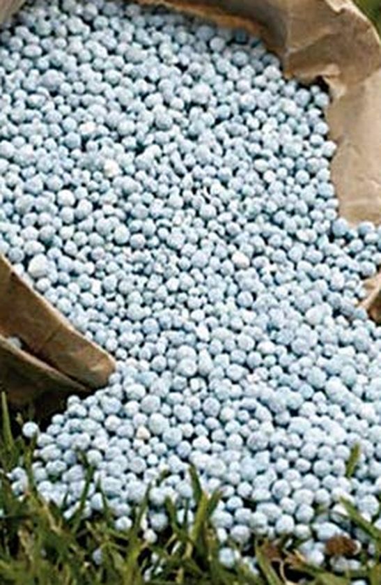 . The Agriculture Department has started keeping an eye on the companies and traders selling fake seeds, chemical medicines and fertileizers of poor quality in the market.