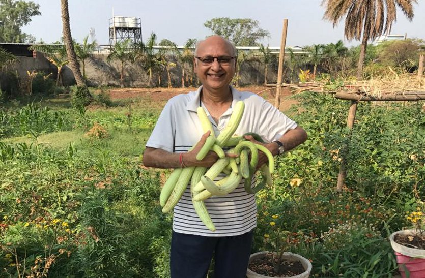 Doctors started organic farming in katni