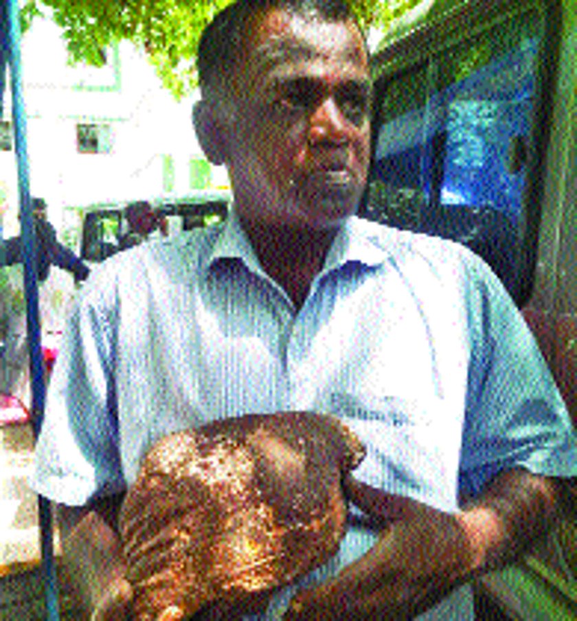 A person carrying a stone of five kilos to meet the Collector