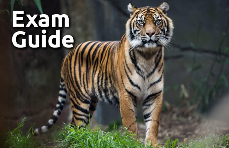 Education,interview,exam,online test,rojgar samachar,interview tips,online exam,Mock Test,general knowledge,GK,interview questions,jobs in hindi,rojgar,competition exam,mock test paper,sarkari job,questions Answers,GK mock test,Exam Guide,