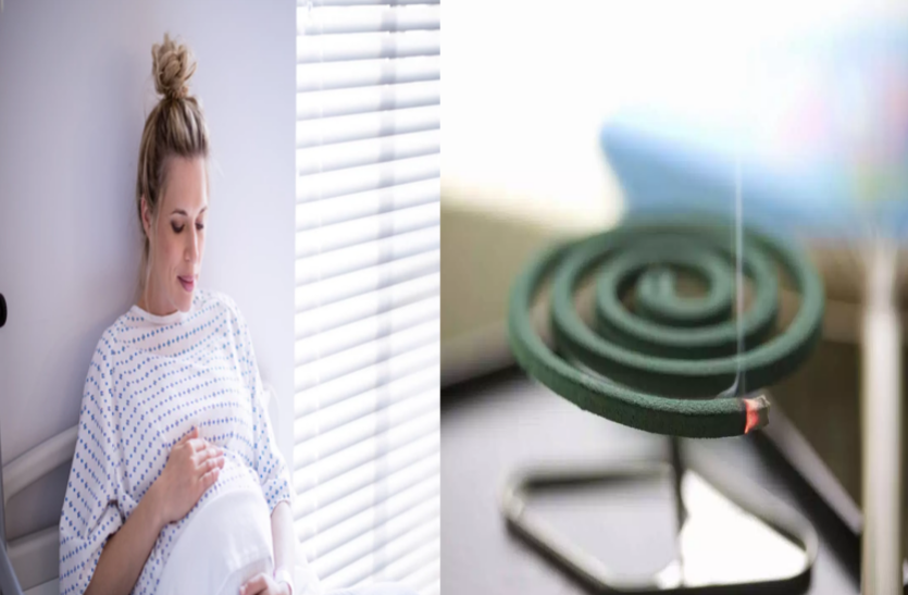 mosquito-killers-are-harmful-for-the-health-of-fetus