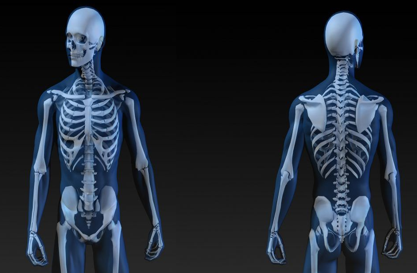 know-these-12-interesting-things-related-to-bones
