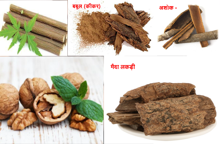 bark-of-trees-is-beneficial-in-stomach-skin-and-teeth-disease