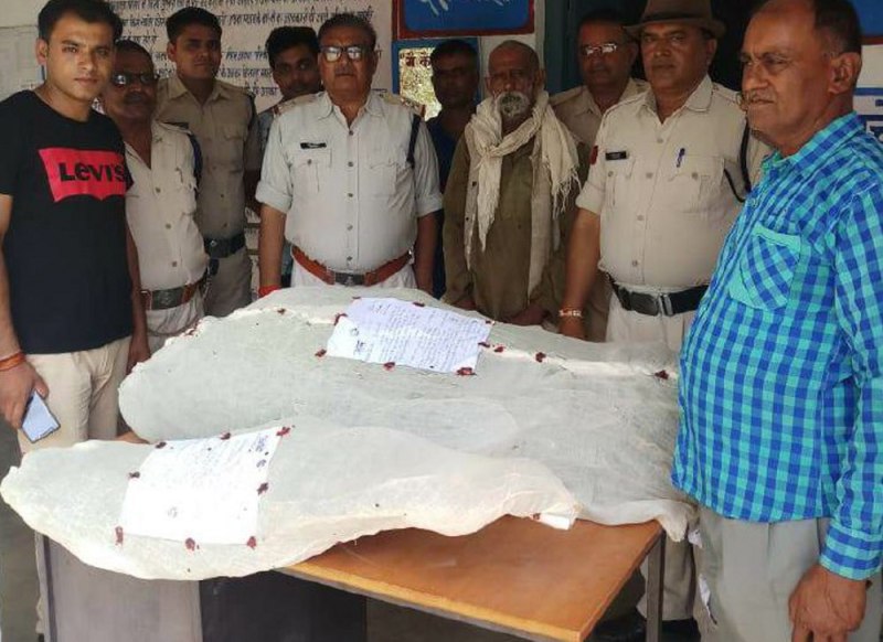 28 trees of Ganja were flowing in the garden