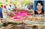 topper in studies was daughters, topper of school was contentment