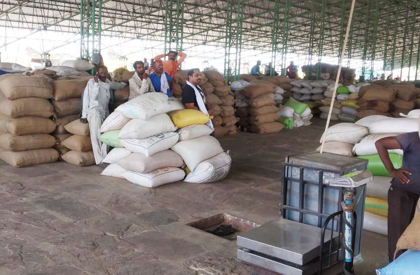 Hammal strike in krashi upaj mandi