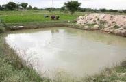 Two brothers died after drowning in pond