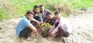 100 plants Seedlings in one week