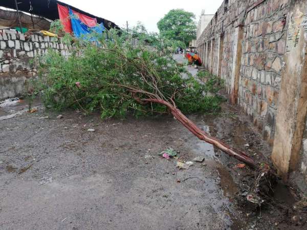 The first rainy monsoon showers