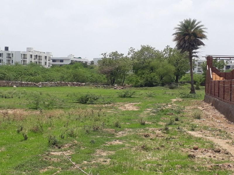 pond in udaipur- pond news- pond-water crisis-summer season