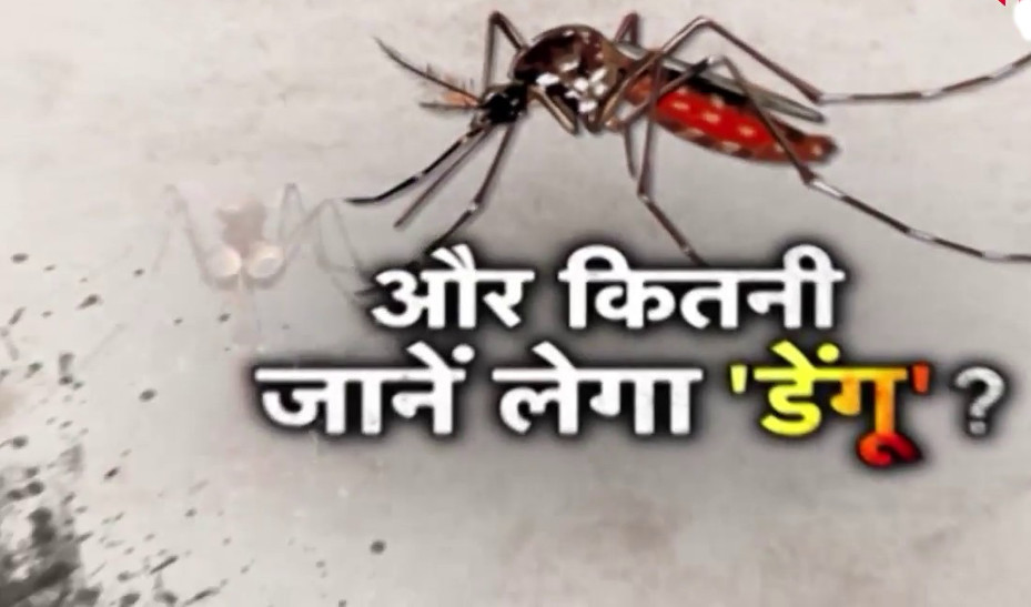 Dengue in Chhattisgarh