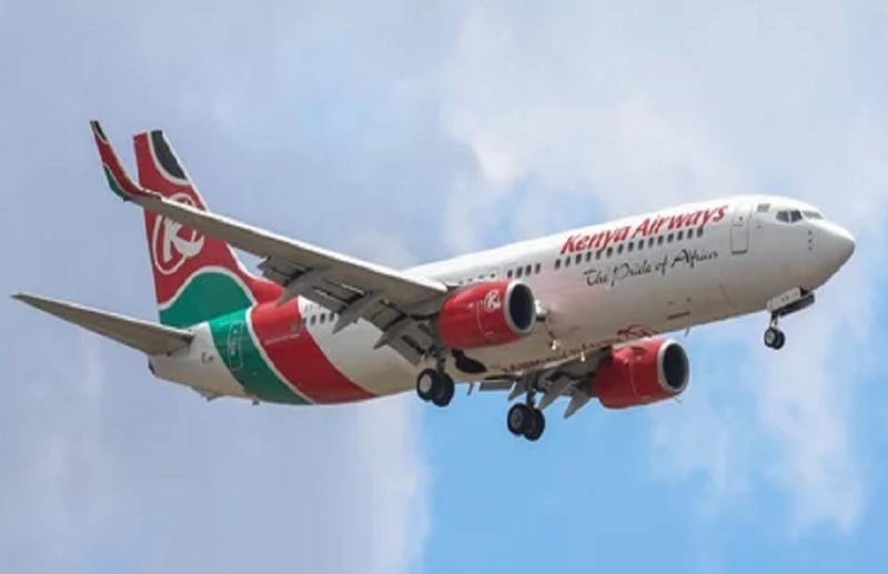 विमान से गिरा शख्श