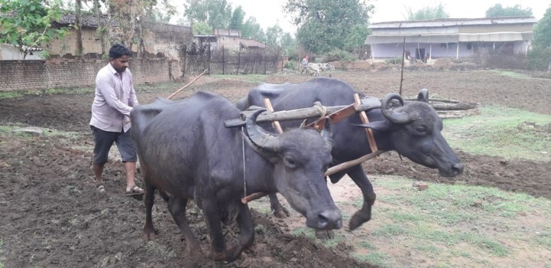 22.7 mm of rain in one day