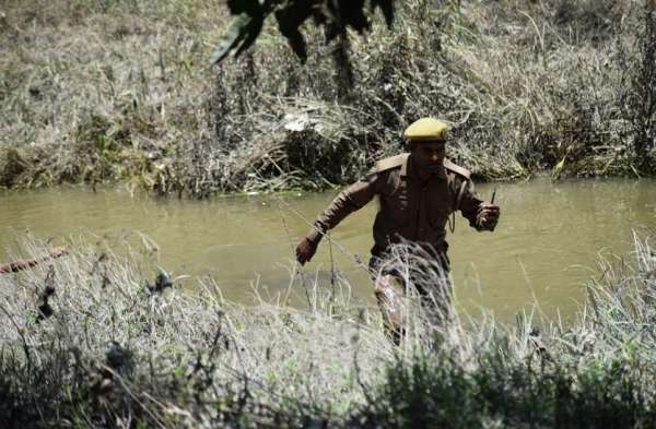 forest department fail to catch Wild elephants from Nepal