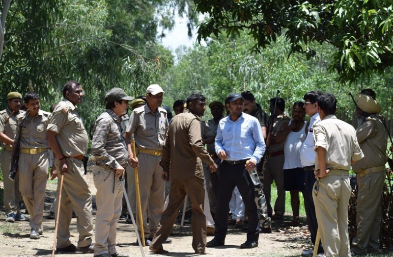 Forest Department failed to Escape wild elephant, try to continue