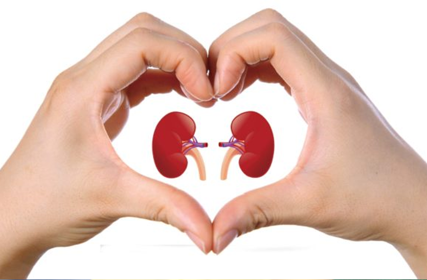 kidney-care-tips-know-how-to-keep-your-kidneys-fit