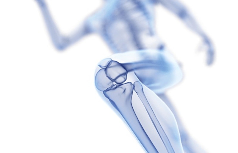 stromal vascular fraction