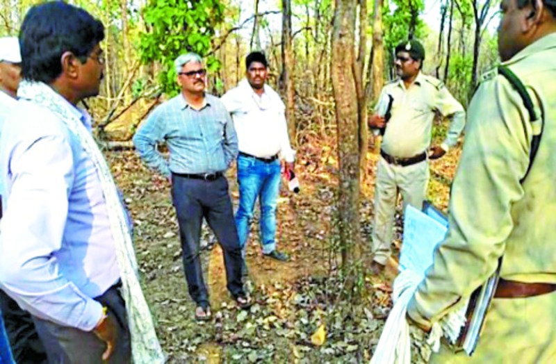 Forest officers suspended in precious trees smuggling case