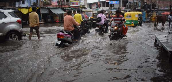 Zoo's monsoon, roads