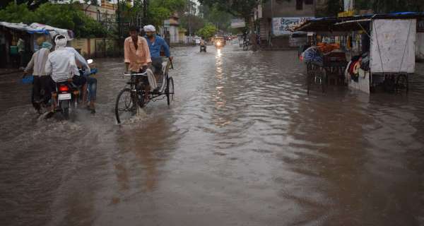 Zoo's monsoon, roads