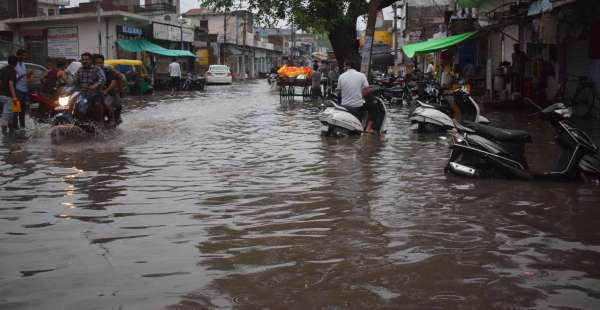 Zoo's monsoon, roads
