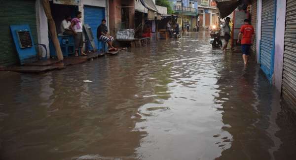 Zoo's monsoon, roads