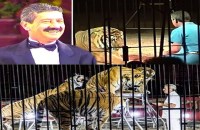 world famous ringmaster ettore weber killed by four tigers