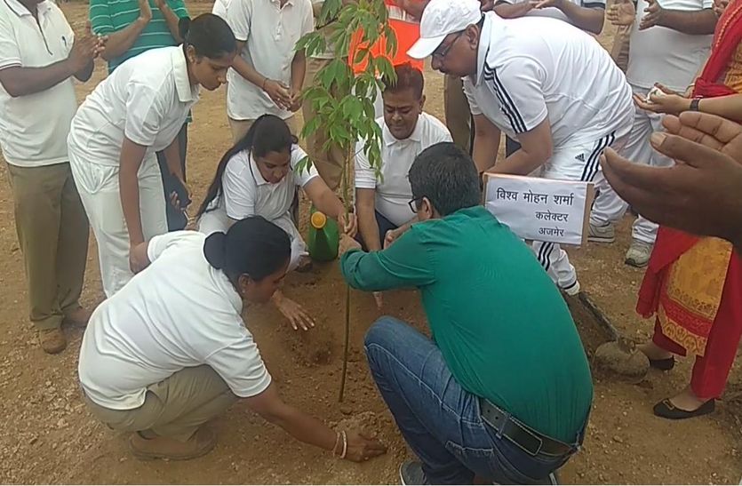 एक दिन में 11 हजार पौधों का रोपण, हरियालो राजस्थान अभियान