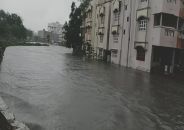 patrika