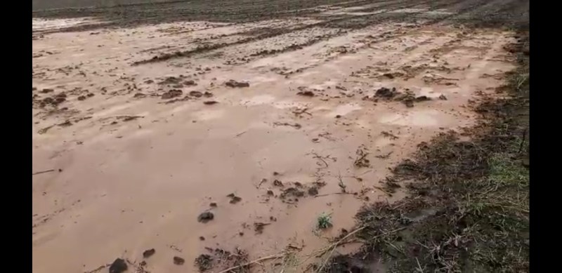 Forelane, of road, mud, house, farm, rain, itarsi