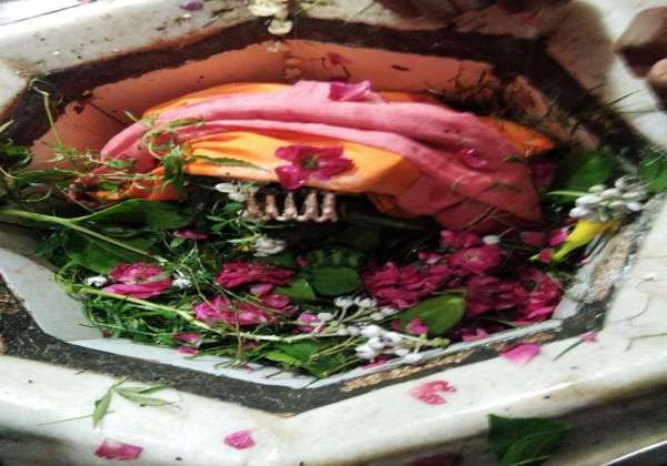 Nath Nagari Bareilly in the color of bholenath before the saawan