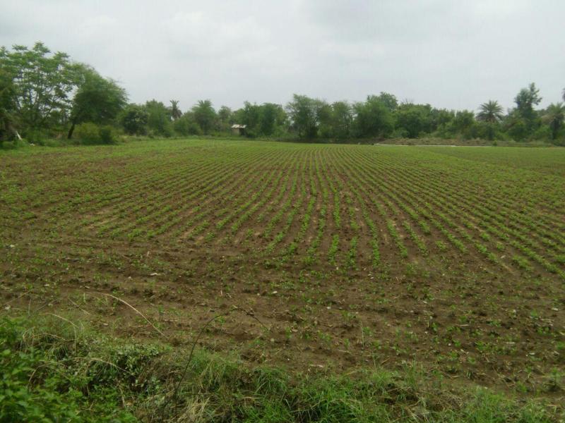 निर्माण स्वीकृति के बाद भी जारी कर दिया दूसरा पट्टा