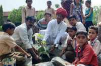 Planting plants in schools under the Hariyo Rajasthan campaign